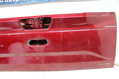 Trunk/decklid/hatch/tailgate FORD PICKUP F150 15 16 17