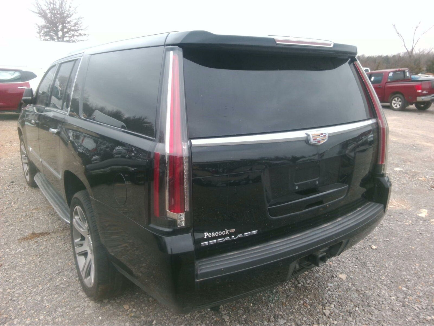 Rear Seat Belt ESCALADE ESV Left 15