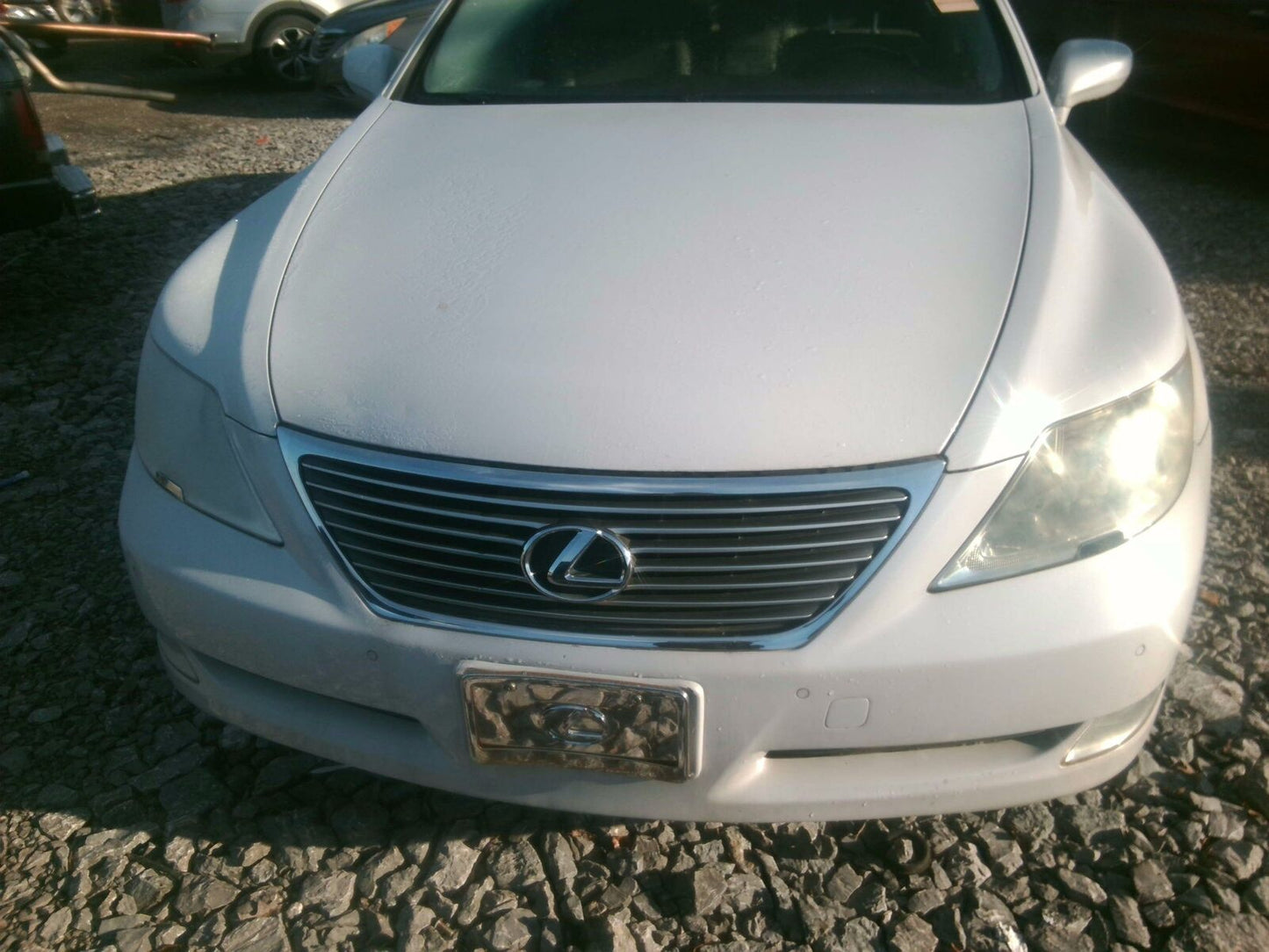 Trunk/decklid/hatch/tailgate LEXUS LS460 07 08 09 10 11 12