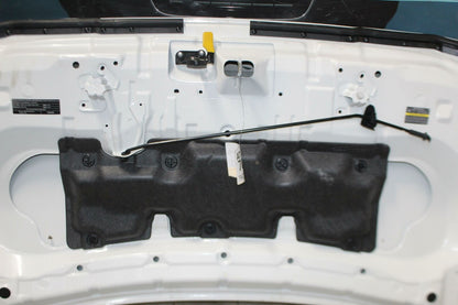 Hood NISSAN LEAF 18 19 20